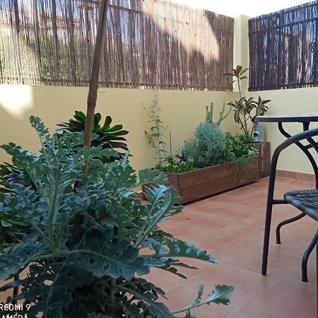 דירות Loft Alquiler Alcalalí מראה חיצוני תמונה